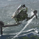 Illustration for article titled Do Future Fighter Jets Really Need Camo?